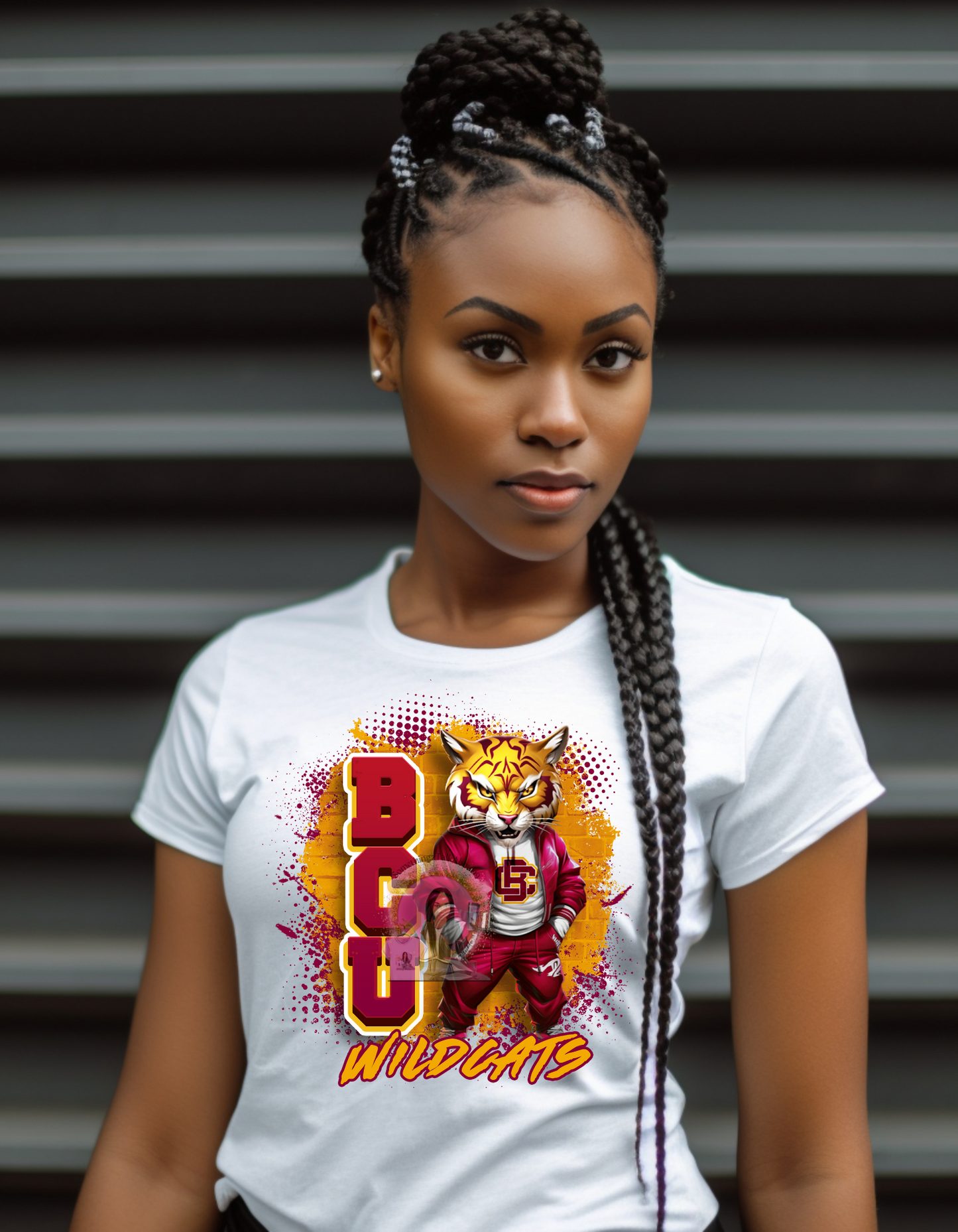 HBCU MASCOT T-SHIRTS